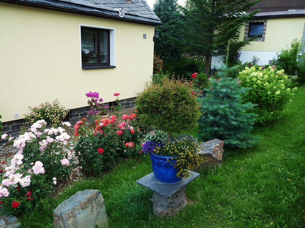 Ferienwohnung Riedl Klingenthal Room photo